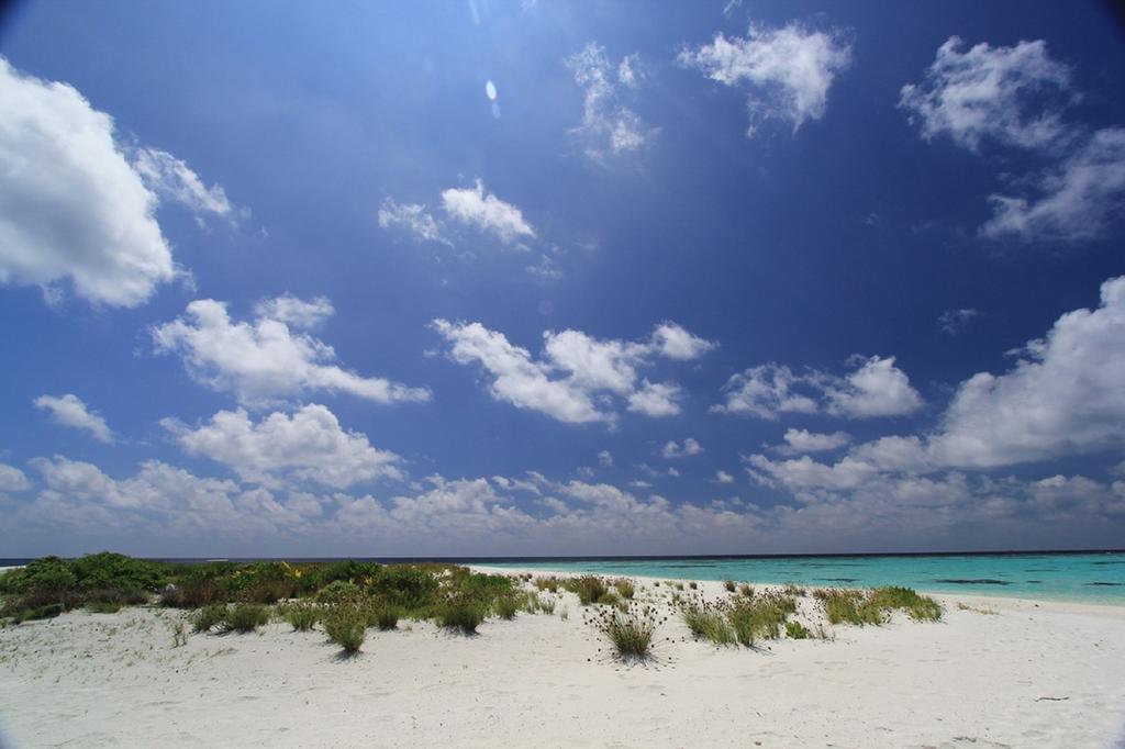 Local Island Inn Hangnaameedhoo Esterno foto
