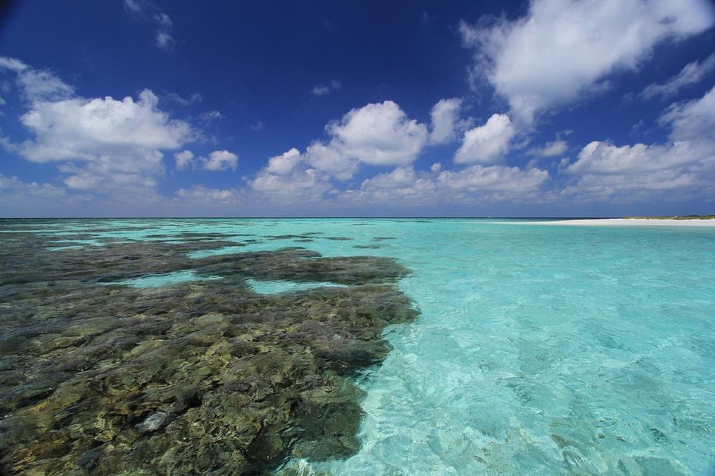 Local Island Inn Hangnaameedhoo Esterno foto