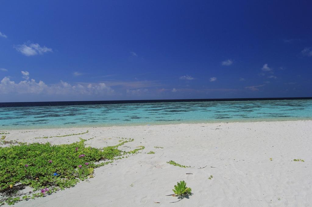 Local Island Inn Hangnaameedhoo Esterno foto